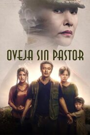 Oveja sin pastor