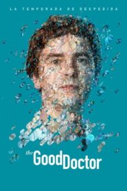 The Good Doctor 2017