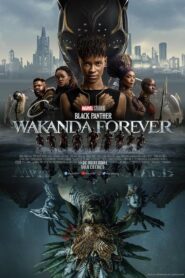 Black Panther: Wakanda Forever 4K UHDremux