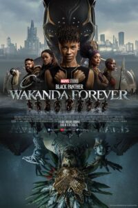 Black Panther: Wakanda Forever 4K