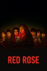 Red Rose 2022