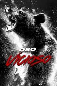 Oso vicioso