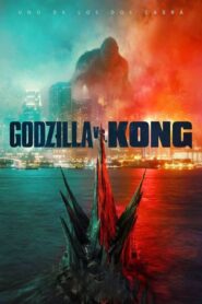 Godzilla vs Kong HD